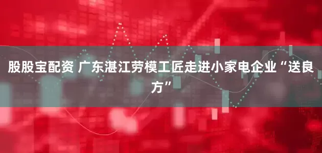 股股宝配资 广东湛江劳模工匠走进小家电企业“送良方”