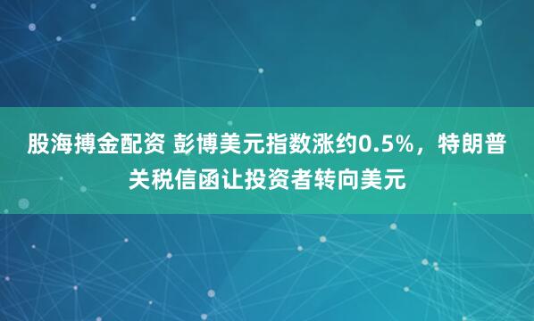 股海搏金配资 彭博美元指数涨约0.5%，特朗普关税信函让投资者转向美元