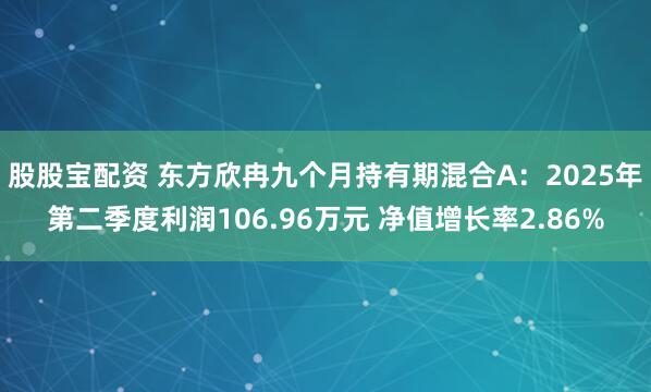 股股宝配资 东方欣冉九个月持有期混合A：2025年第二季度利润106.96万元 净值增长率2.86%