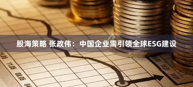 股海策略 张政伟：中国企业需引领全球ESG建设